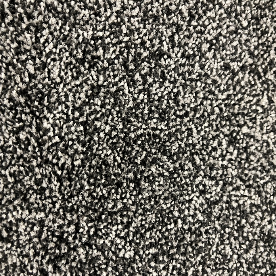 alice springs twist pile carpet in colour 78