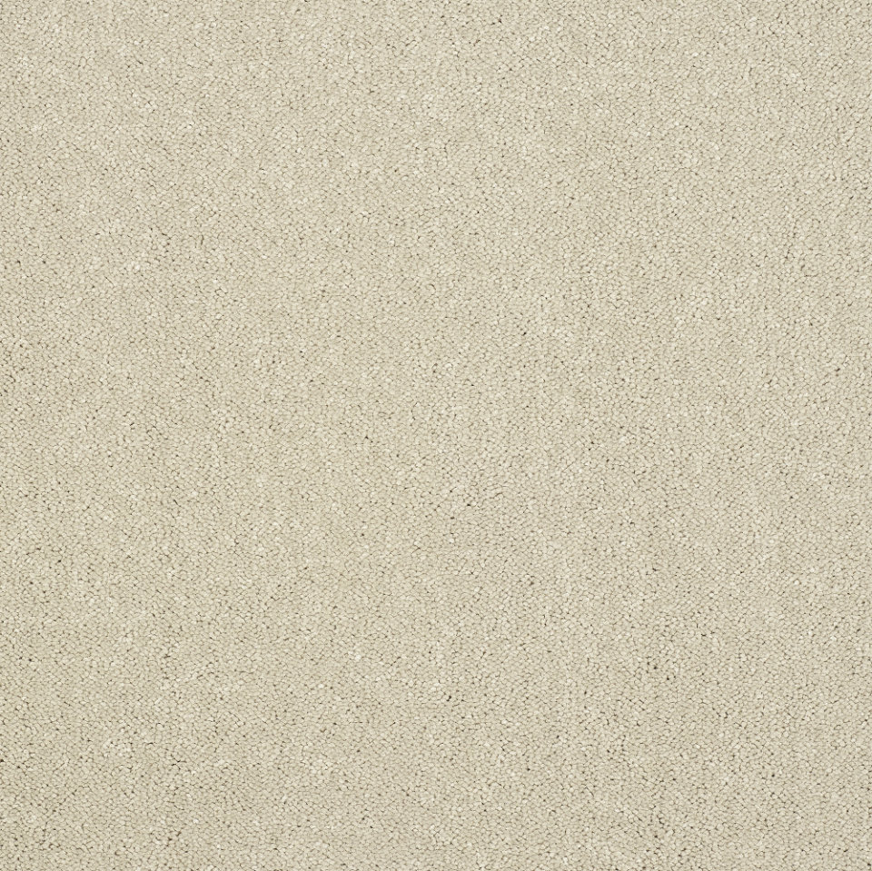 captivation twist pile carpet in colour turtle dove